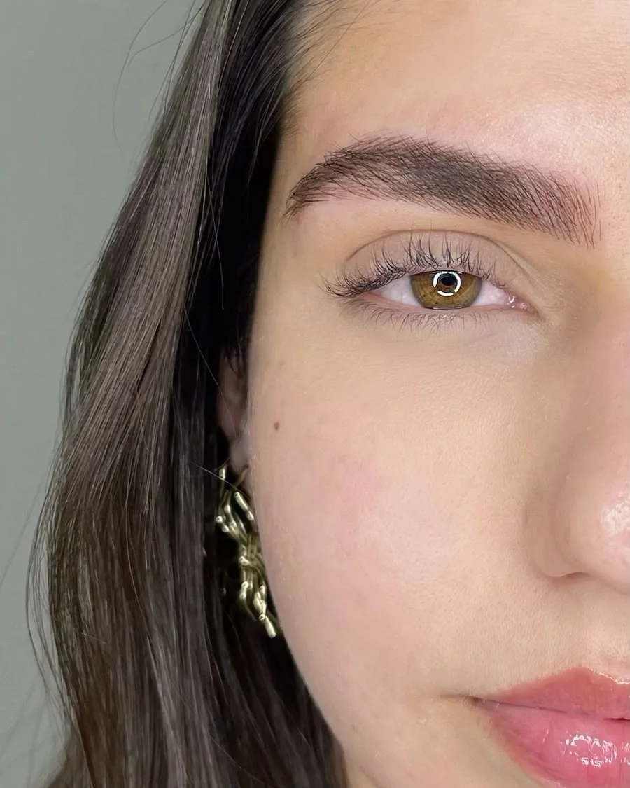 Resultado de Nano Brows